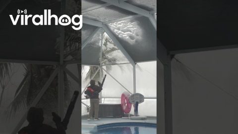 Florida Man Removes Snow From Pool Screen || ViralHog