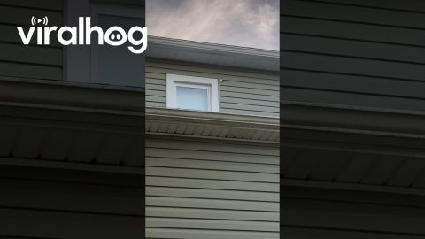 Cigarettes Hiding In Window Frame || ViralHog
