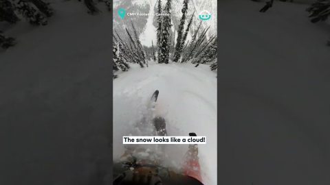 Professional Skier Goes Seriously Off-Piste || ViralHog