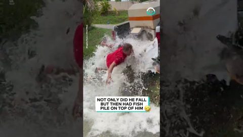 Pond Stocking FAIL || ViralHog