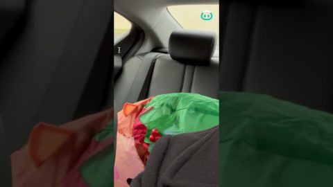A Wonderful Holiday Prank || ViralHog
