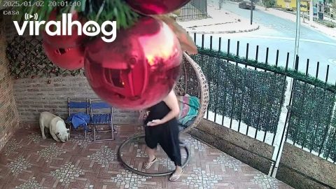 Hanging Chair Falls Over When Woman Sits Down || ViralHog