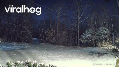 Meteor Caught by Security Camera in Southern Maine || ViralHog