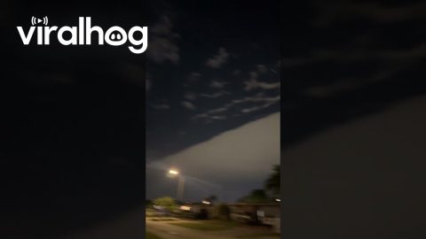 One Large Cloud || ViralHog