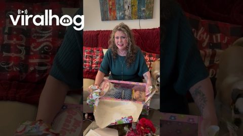 Mom Finally Receives Wanted Gift From Childhood || ViralHog