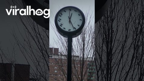 Funky Clock Rotates Face Instead of Hands || ViralHog