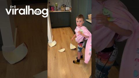 Clumsy Baking Fail || ViralHog