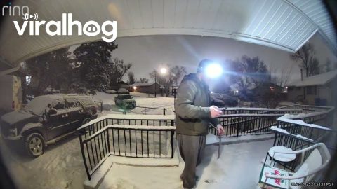 Pizza Delivery Man Twerks For Customers || ViralHog