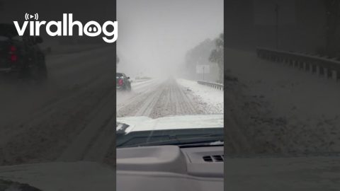 Entering Florida in a Snowstorm || ViralHog