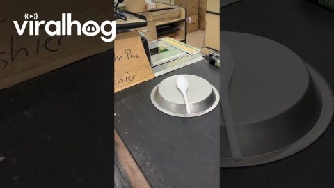 Tap the Pan for Cashier || ViralHog
