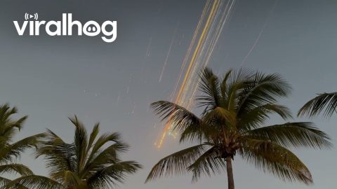 SpaceX Rocket Breaks Up Over The Caribbean || ViralHog