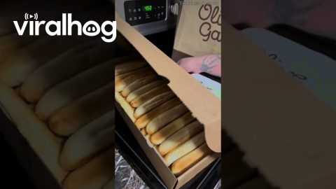 Accidentally Ordered Fifty-Four Breadsticks || ViralHog