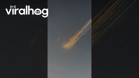 SpaceX Spectacle In Caribbean Sky || ViralHog