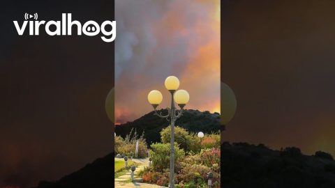 Pacific Palisades Wildfire Rages Through California || ViralHog
