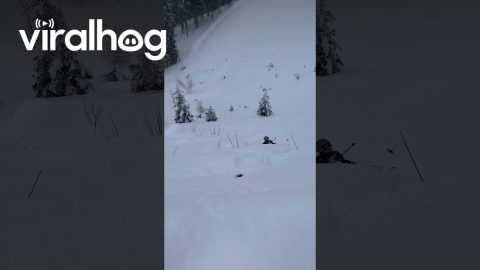 Skier Tumbles Down a Minor Drop || ViralHog