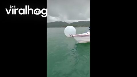 Boaters Rescue Boy Floating In Inflatable Plastic Bubble || ViralHog