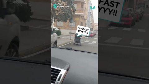 Man Tears Through City in His Wheelchair || ViralHog