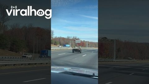 Disconnected Trailer Spotted Rolling Down Freeway || ViralHog
