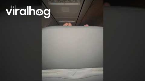 Feet On Display During Flight || ViralHog