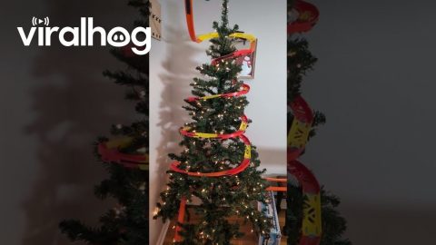 Ultimate Hot Wheels Christmas Tree Track || ViralHog