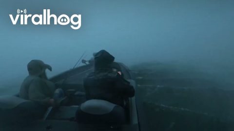 Boaters Survive EF3 Tornado Winds Unharmed || ViralHog