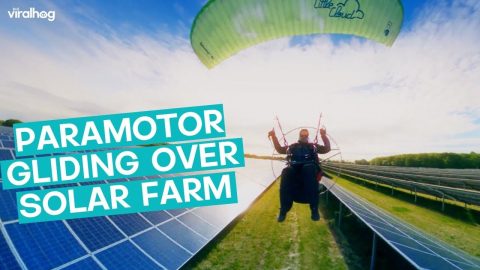 Paramotor Gliding over Solar Farm || ViralHog