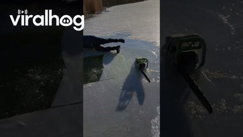 Ice Breaks Around Chainsaw || ViralHog