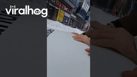 Man Helps Delivery Robot Stuck In Snow || ViralHog