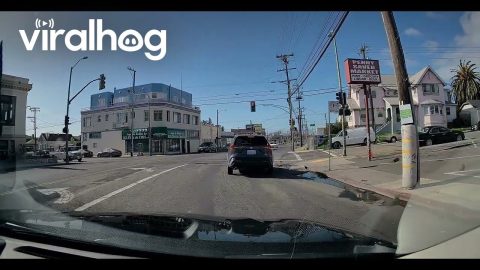 Backward Driver Speeds Through Red Light || ViralHog