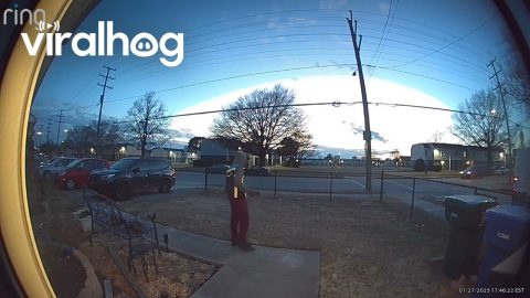 Delivery Driver Makes Impressive Leap Over Fence || ViralHog