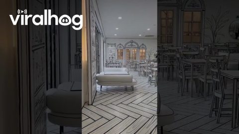 Artistic Restaurant Is Rendered Down || ViralHog