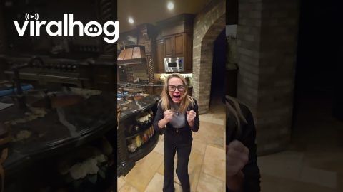 Sneaky Husband Startles Wife In Mansion's Kitchen || ViralHog