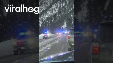 Police Deploy Spike Strip on Mountain Highway || ViralHog