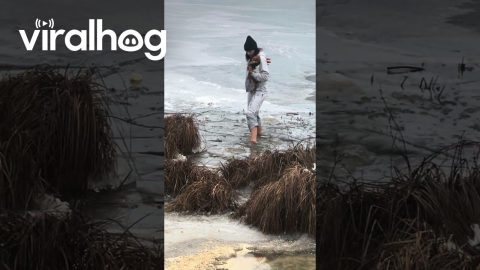 Woman Rescues Dog From Freezing River || ViralHog