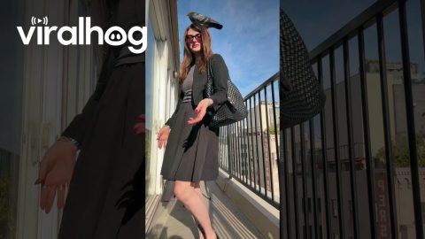 Pigeon Lands On Woman's Head || ViralHog