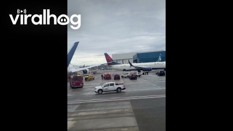 Two Planes Tap At Seattle Airport || ViralHog