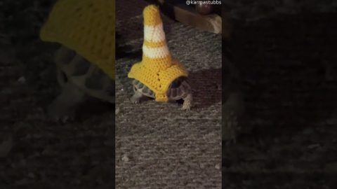 Crocheted Tortoise Traffic Cone || ViralHog