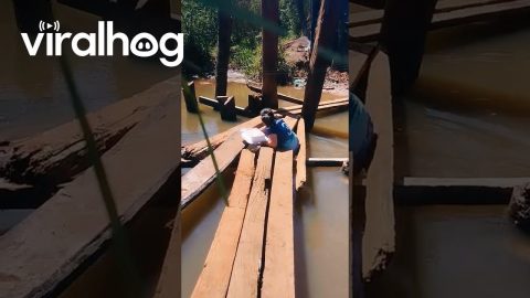 Cakes Go Crashing Into River || ViralHog