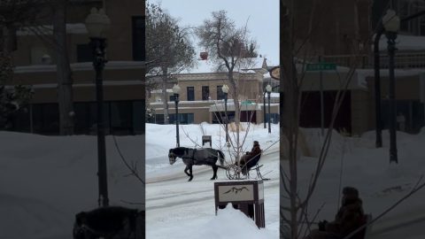 Santa Spotted Riding a Horse-Drawn Sleigh in Small Montana Town || ViralHog