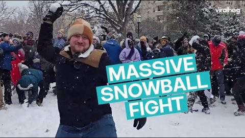 Washington's Massive Snowball Fight || ViralHog
