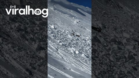 Snowmobilers Get Swept Up in Sudden Avalanche || ViralHog