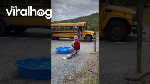 Dad Embarrasses Daughters by Fishing at Bus Stop || ViralHog