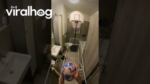 Player Shoots Basketball In Bathroom || ViralHog