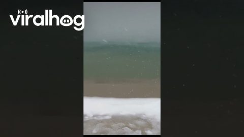 Snow Falls On Florida Beach || ViralHog