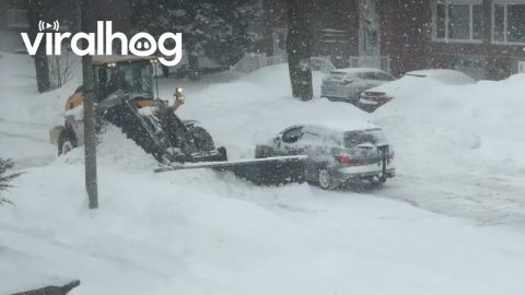 Considerate Snow Plow Keeps Driveway Exits Clear || ViralHog