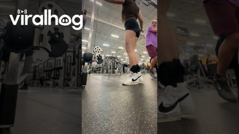 Woman Doing Kickbacks Gooses Man In Gym || ViralHog