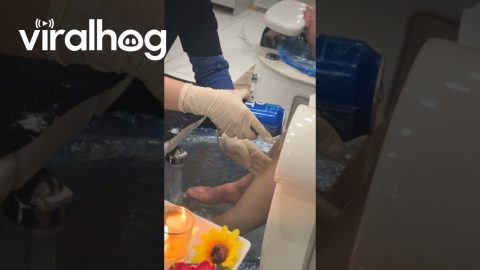 Bud Light Pedicure || ViralHog