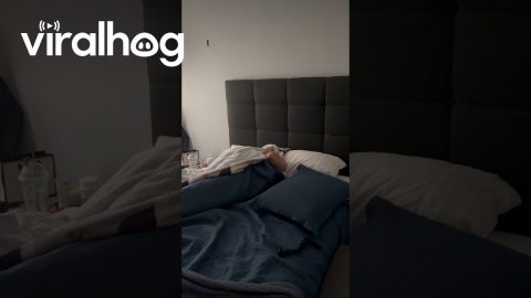 Girl Got Suprised by Long-distance Boyfriend || ViralHog