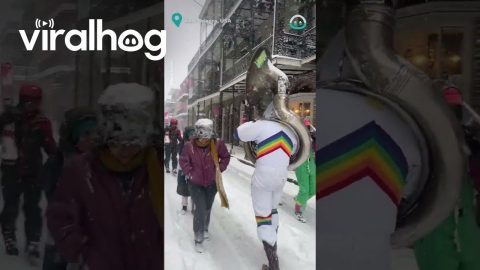 Snow Can't Stop New Orleans Musicians || ViralHog