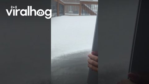 Heavy Snow in Toronto || ViralHog